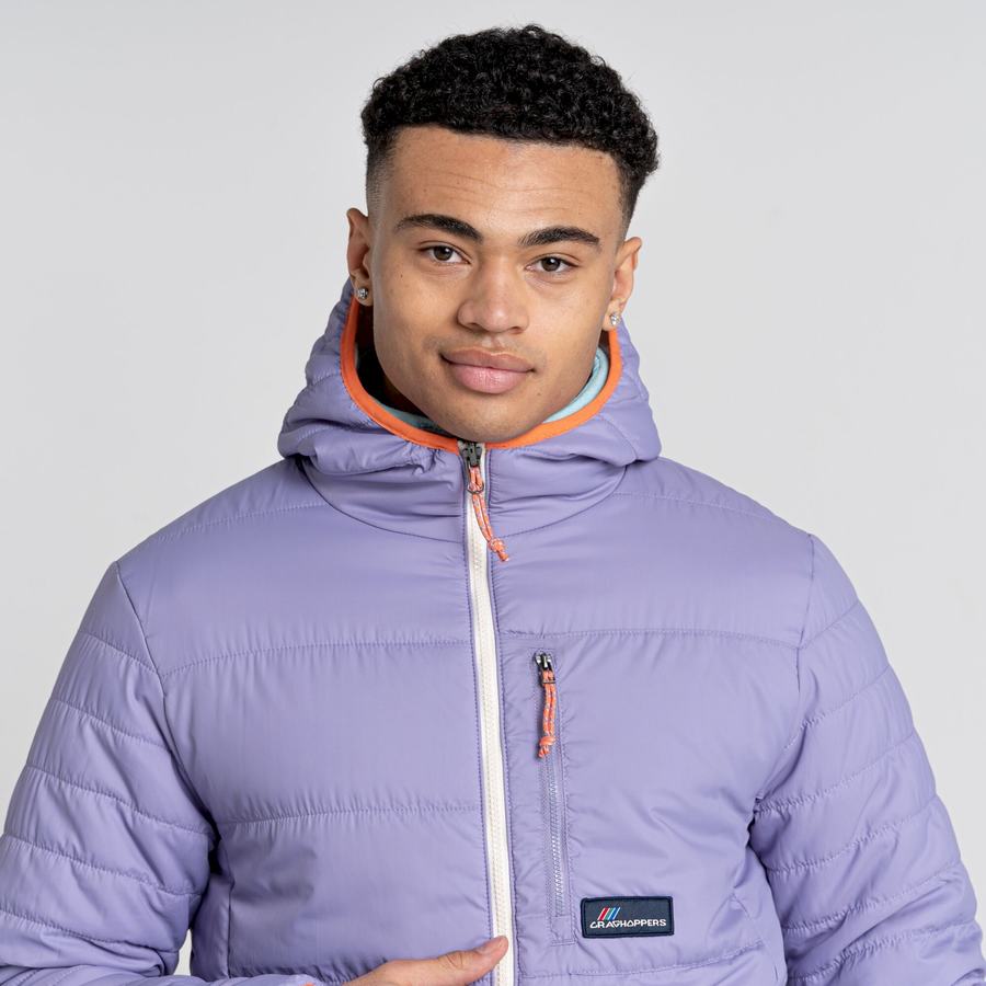 Vestes Craghoppers Cameo CompressLite Encapuchonné Violette Homme | WXU-8616947