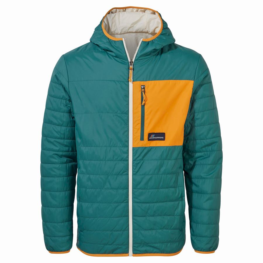 Vestes Craghoppers Cameo CompressLite Encapuchonné Vert Homme | GOS-0113361