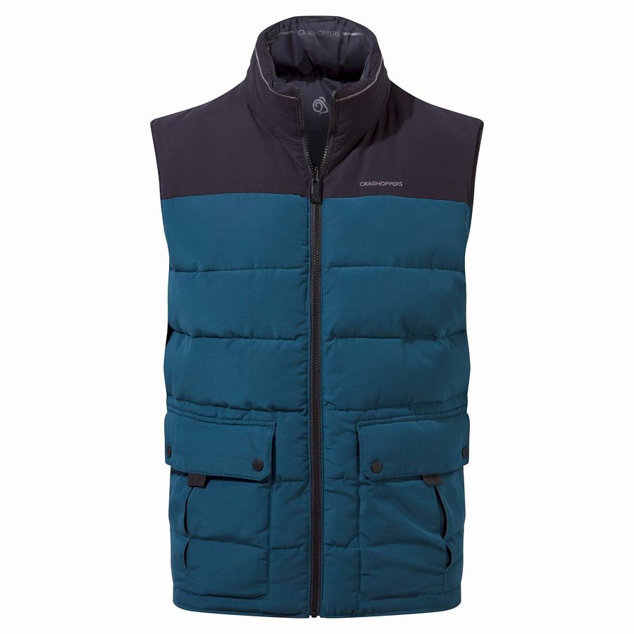 Gilet Craghoppers Trillick Downlike Bleu Marine Bleu Homme | QHO-8477407