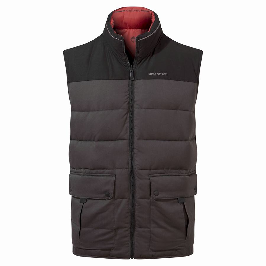 Gilet Craghoppers Trillick Downlike Noir Homme | DFC-2368126