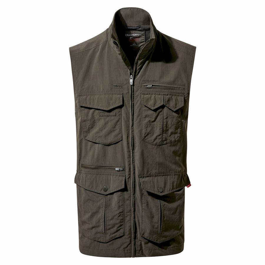 Gilet Craghoppers NosiLife Adventure II Vert Homme | VKT-6248884