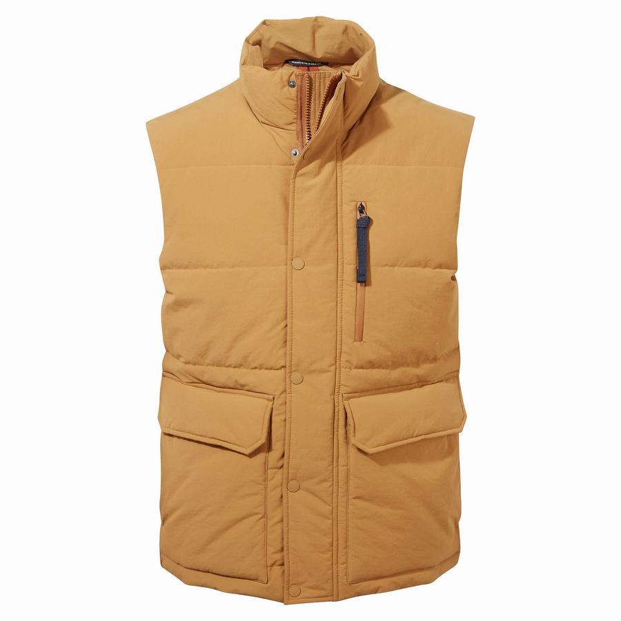 Gilet Craghoppers Dunbeath Vest Grise Marron Homme | MMF-8745587