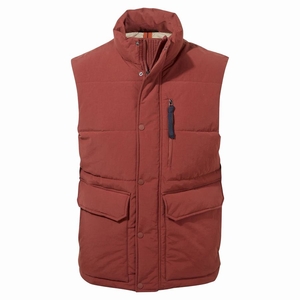 Gilet Craghoppers Dunbeath Vest Rouge Homme | EHU-3818117