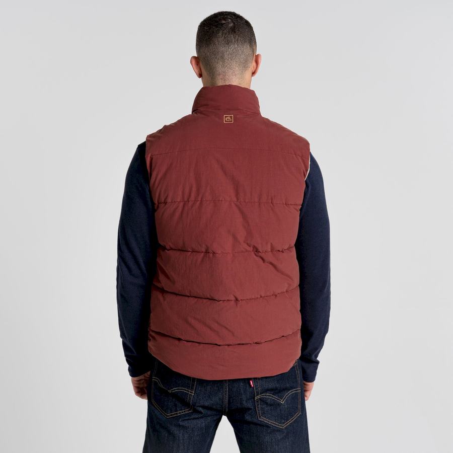 Gilet Craghoppers Dunbeath Vest Rouge Homme | EHU-3818117