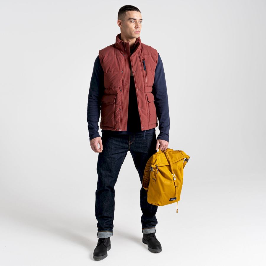 Gilet Craghoppers Dunbeath Vest Rouge Homme | EHU-3818117