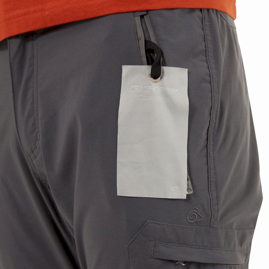 Pantalons Craghoppers NosiLife Pro II Grise Homme | AAZ-4791643