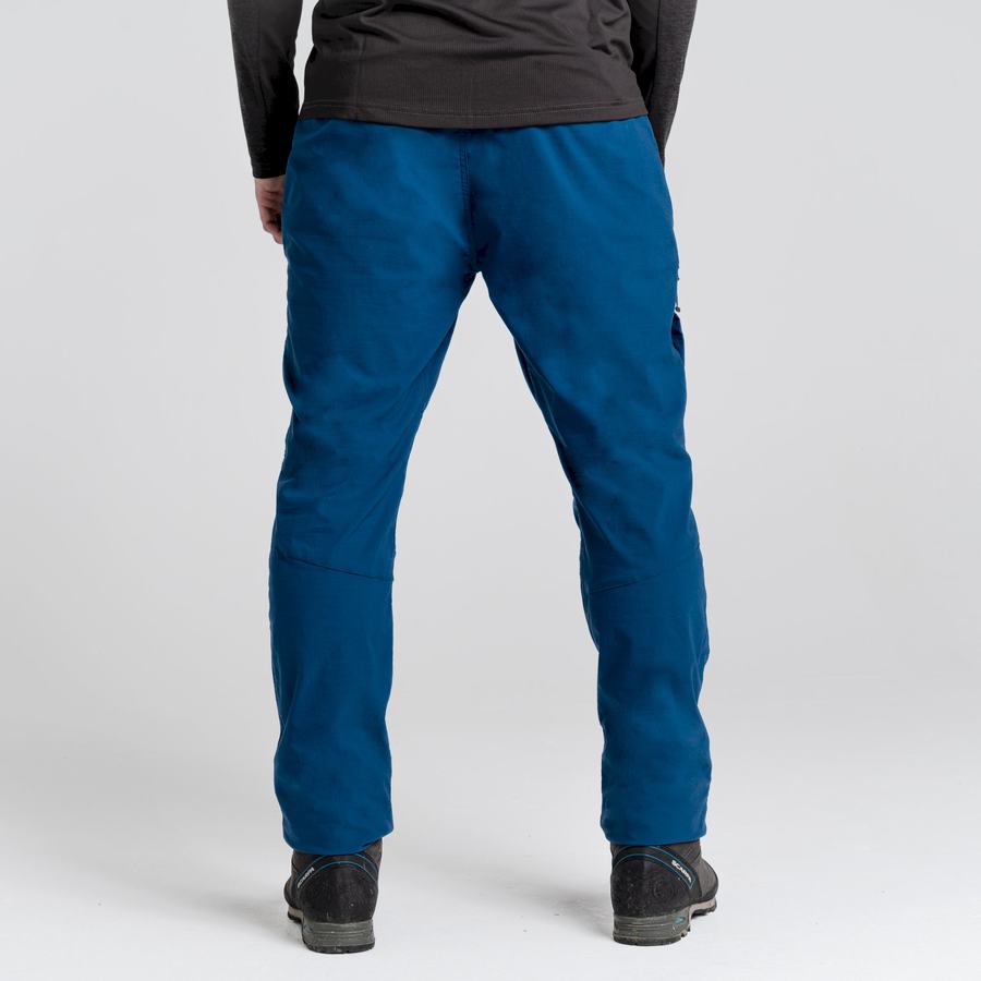 Pantalons Craghoppers NosiLife Pro Active Bleu Marine Bleu Homme | SHQ-0741935