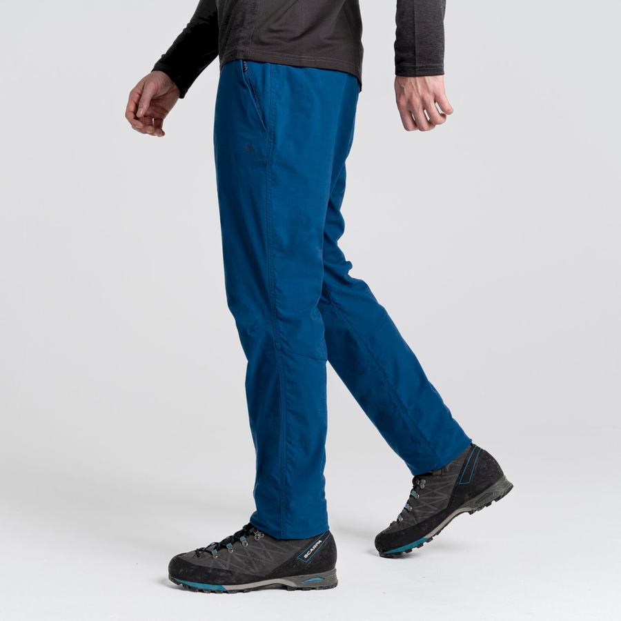 Pantalons Craghoppers NosiLife Pro Active Bleu Marine Bleu Homme | SHQ-0741935