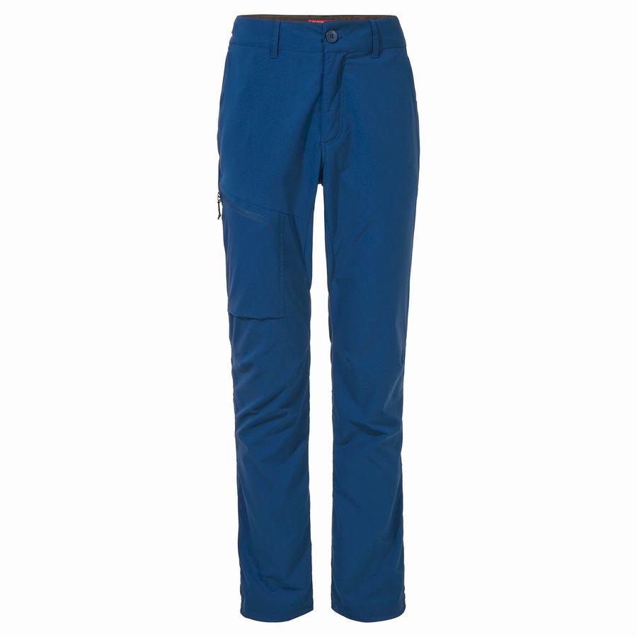 Pantalons Craghoppers NosiLife Pro Active Bleu Marine Bleu Homme | SHQ-0741935