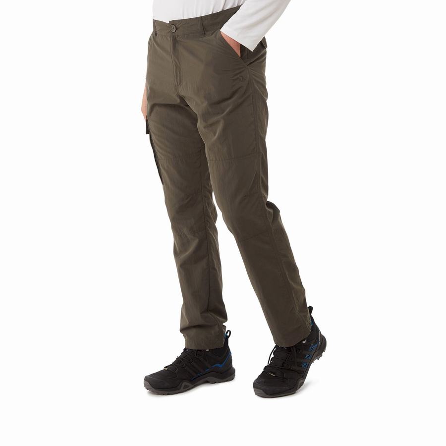 Pantalons Craghoppers NosiLife Branco Vert Homme | NTY-3133130