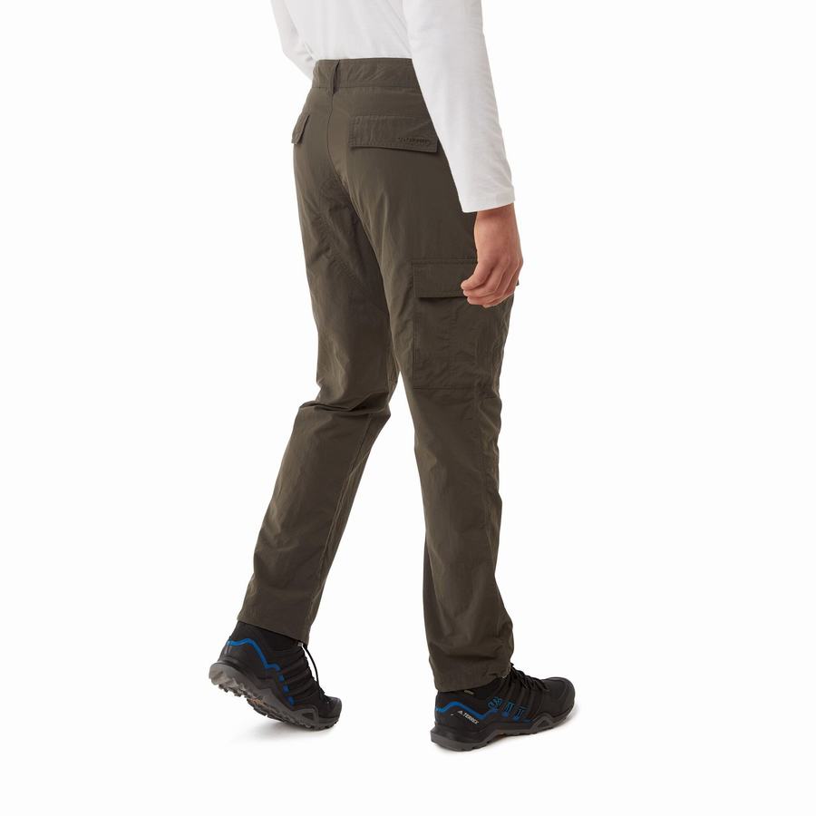 Pantalons Craghoppers NosiLife Branco Vert Homme | NTY-3133130