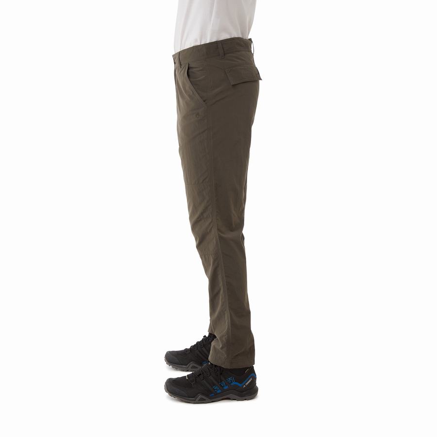 Pantalons Craghoppers NosiLife Branco Vert Homme | NTY-3133130