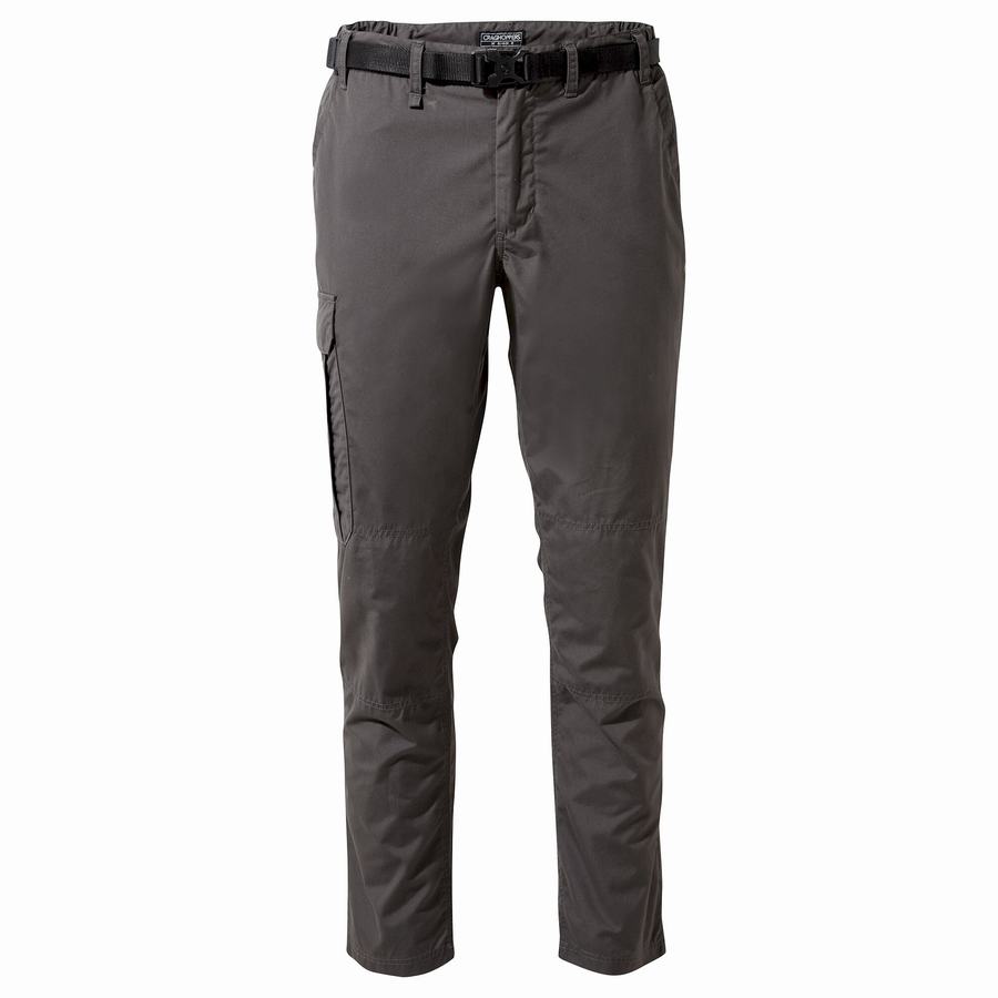 Pantalons Craghoppers Kiwi Slim Grise Homme | BNN-5679710