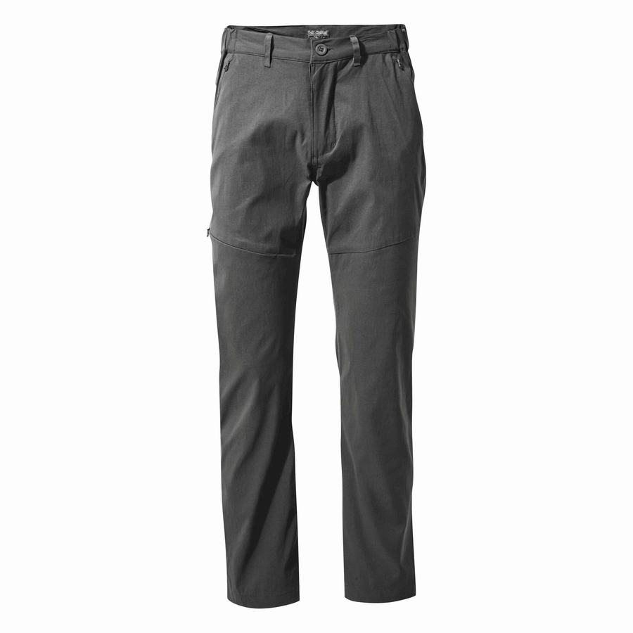 Pantalons Craghoppers Kiwi Pro II Grise Homme | BCK-9341895