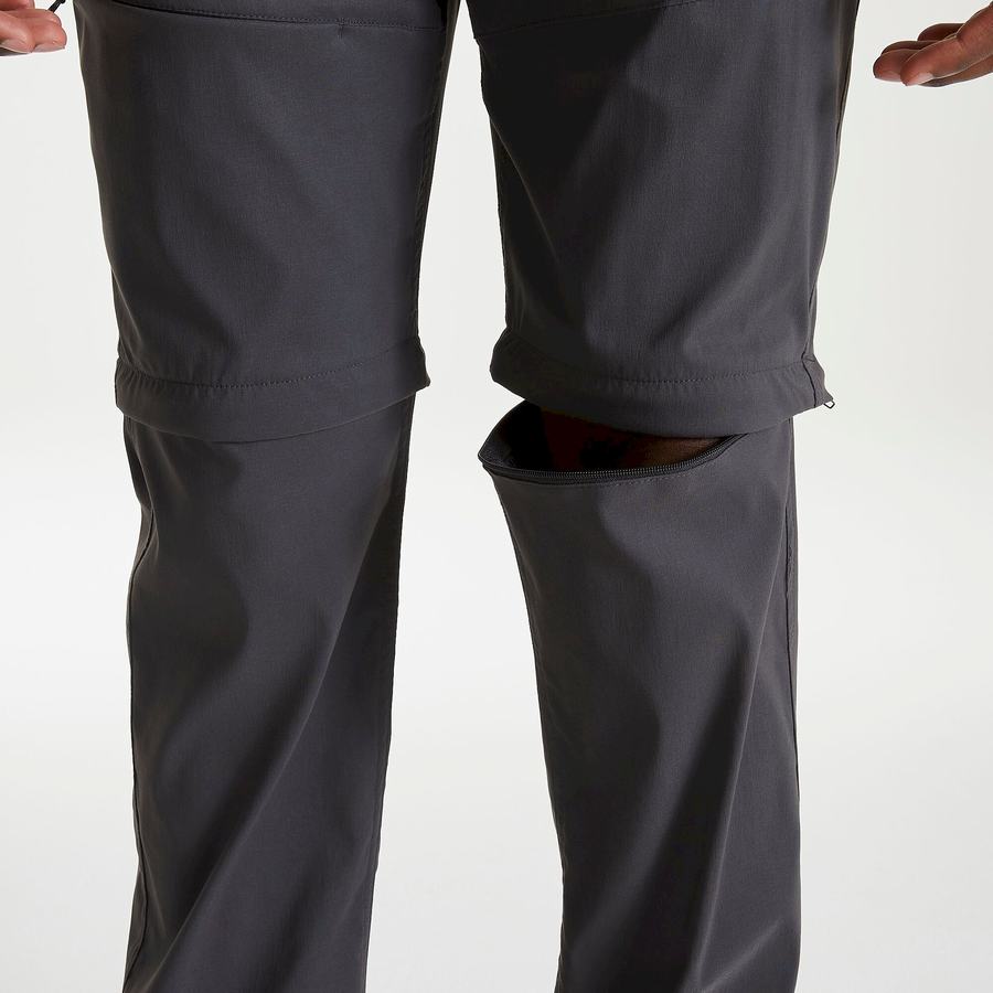 Pantalons Craghoppers Kiwi Pro II Grise Homme | UZY-1356505