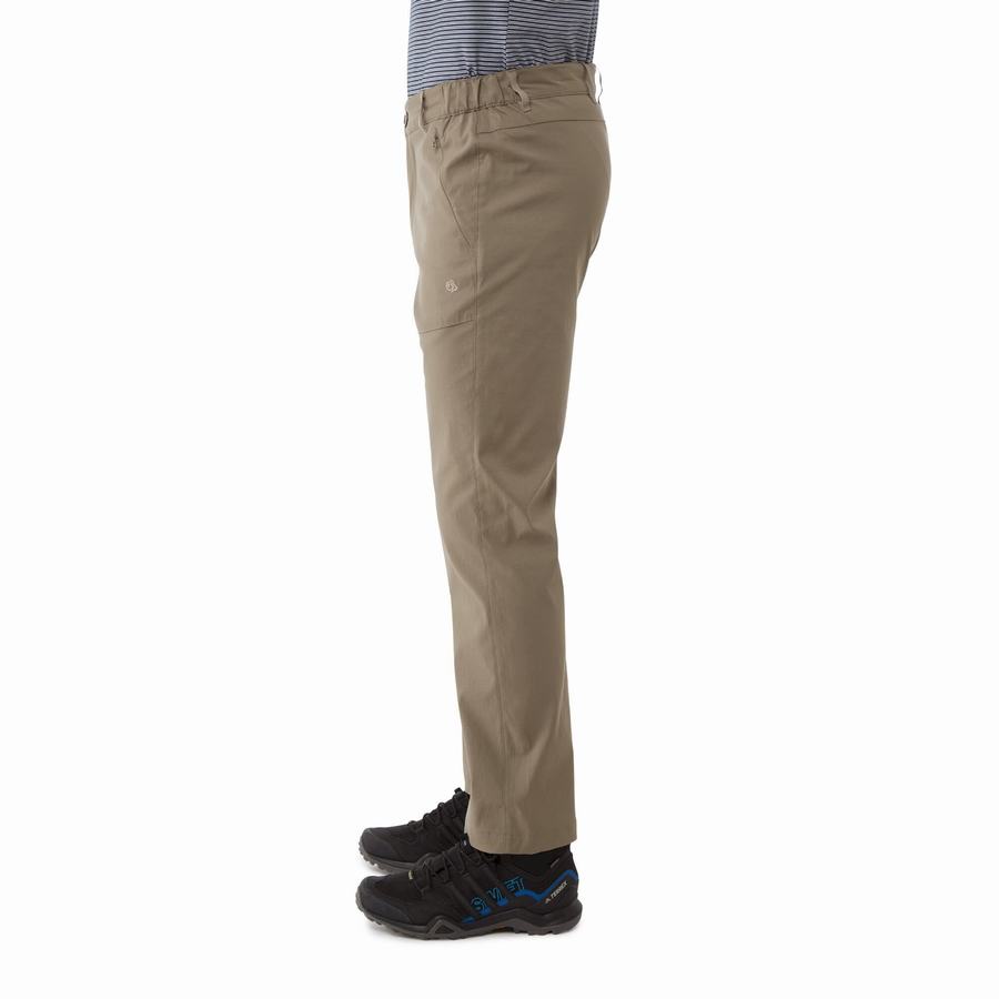 Pantalons Craghoppers Kiwi Pro II Kaki Homme | WIC-1598742