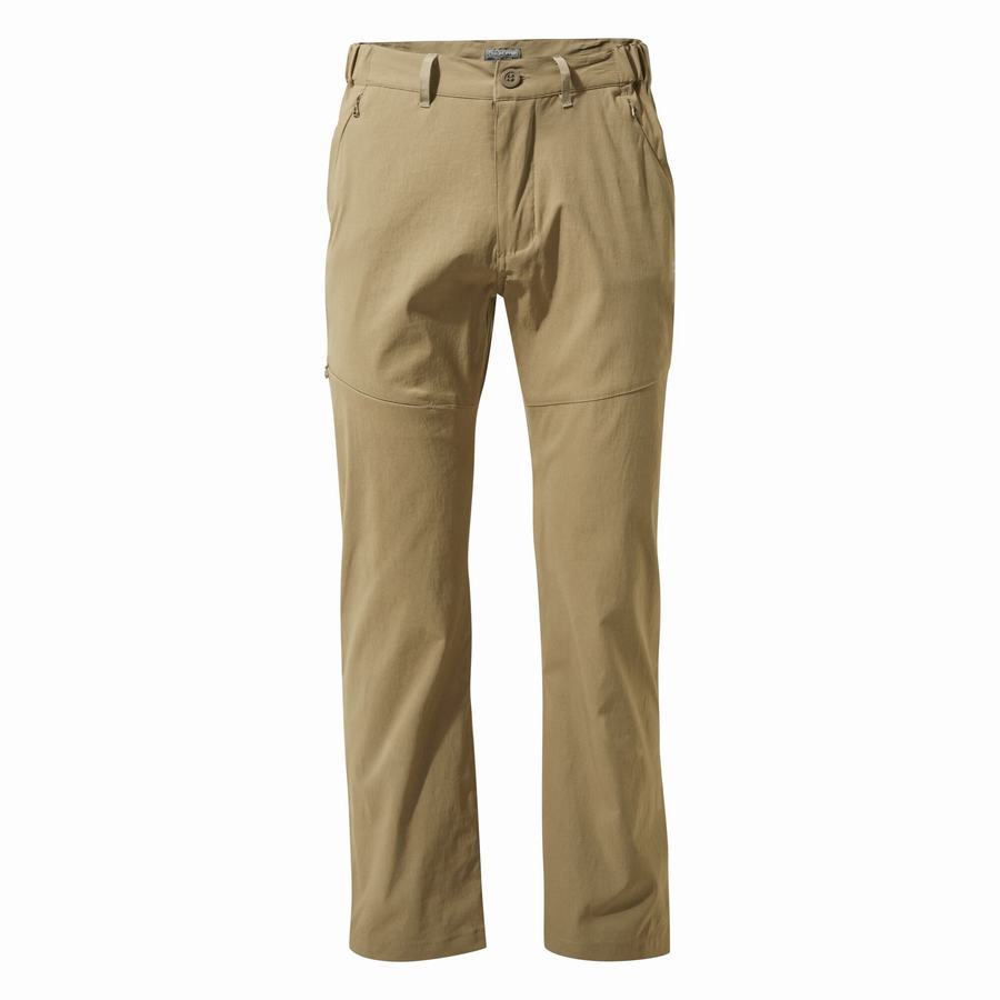 Pantalons Craghoppers Kiwi Pro II Kaki Homme | WIC-1598742