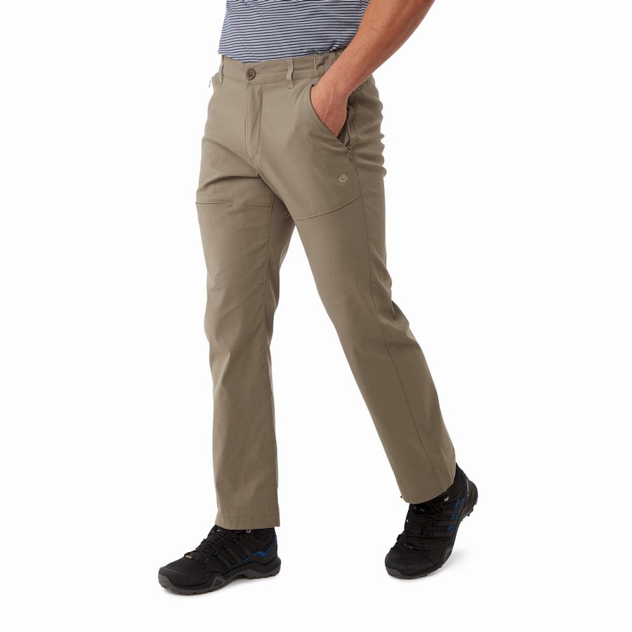 Pantalons Craghoppers Kiwi Pro II Kaki Homme | WIC-1598742