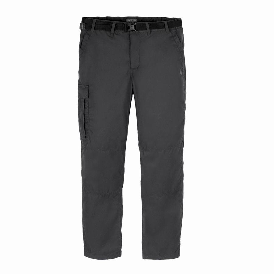 Pantalons Craghoppers Expert Kiwi Tailored Grise Foncé Homme | LAT-3263898