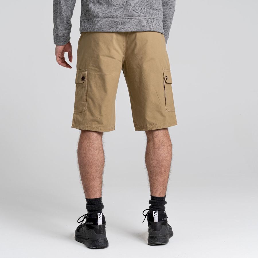 Shorts Craghoppers Thallon Vert Homme | AEJ-0385678