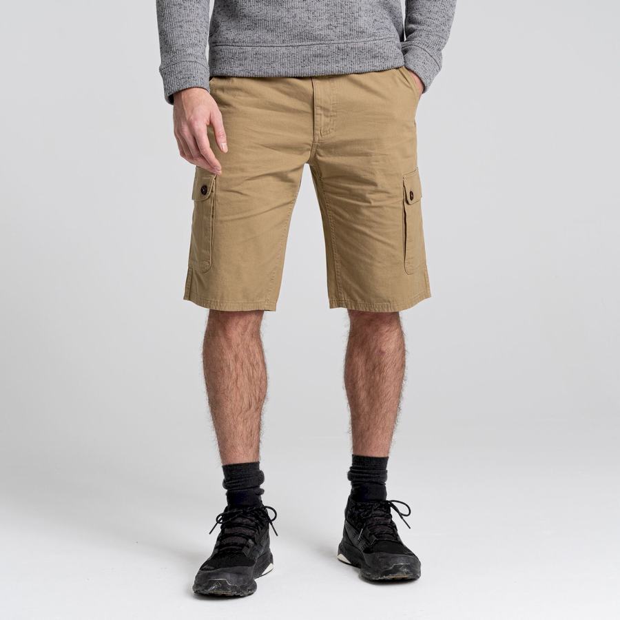 Shorts Craghoppers Thallon Vert Homme | AEJ-0385678