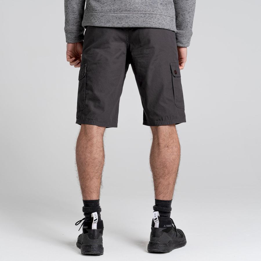 Shorts Craghoppers Thallon Grise Foncé Homme | EGH-7848075