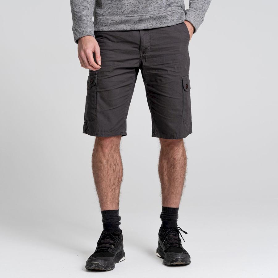 Shorts Craghoppers Thallon Grise Foncé Homme | EGH-7848075