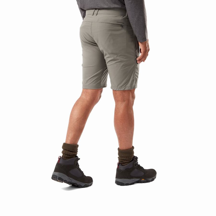 Shorts Craghoppers NosiLife Pro Active Grise Homme | TJP-7601463