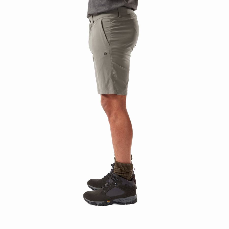 Shorts Craghoppers NosiLife Pro Active Grise Homme | TJP-7601463