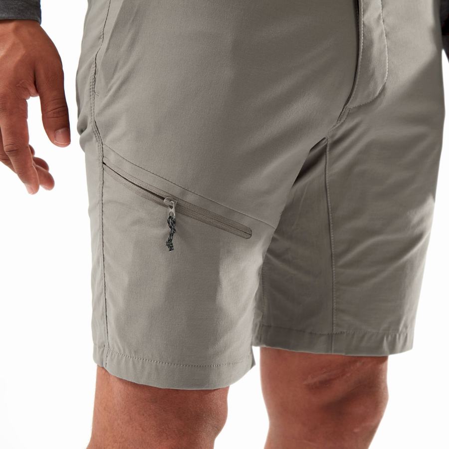 Shorts Craghoppers NosiLife Pro Active Grise Homme | TJP-7601463