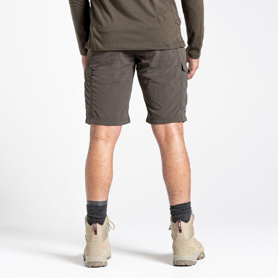 Shorts Craghoppers NosiLife Cargo II Vert Homme | JII-0157033