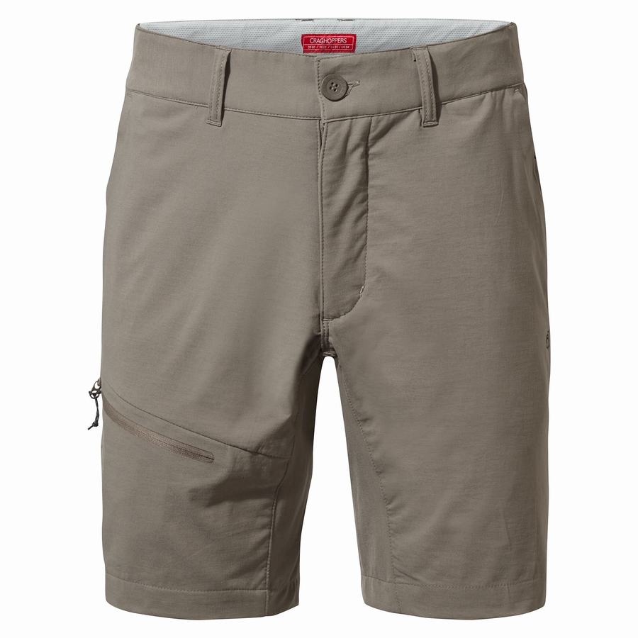 Shorts Craghoppers NosiLife Pro Active Grise Homme | TJP-7601463