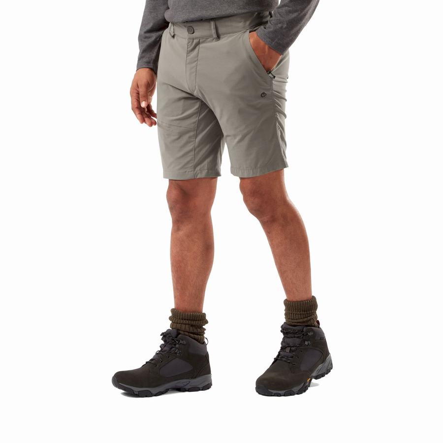 Shorts Craghoppers NosiLife Pro Active Grise Homme | TJP-7601463