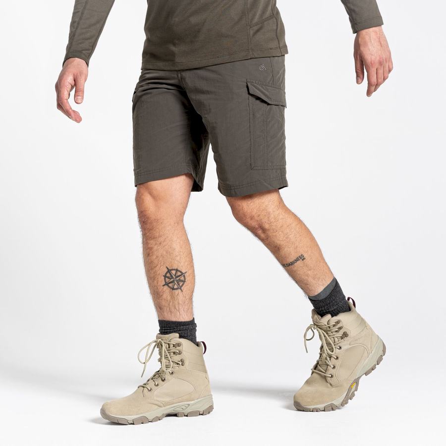 Shorts Craghoppers NosiLife Cargo II Vert Homme | JII-0157033