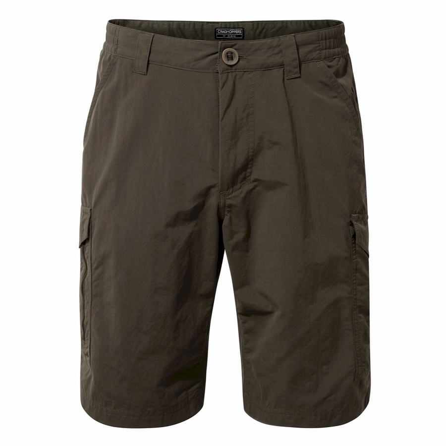 Shorts Craghoppers NosiLife Cargo II Vert Homme | JII-0157033