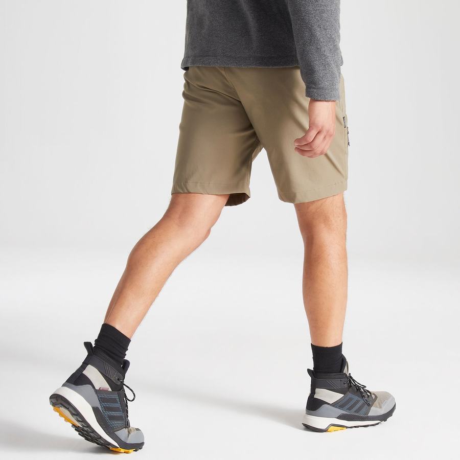 Shorts Craghoppers Kiwi Pro Kaki Homme | WDI-2097379