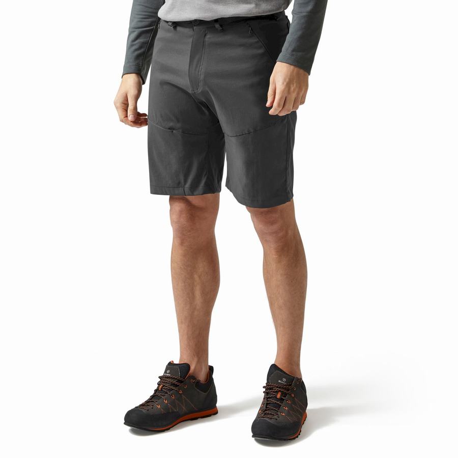 Shorts Craghoppers Kiwi Pro Grise Foncé Homme | NSG-2371859