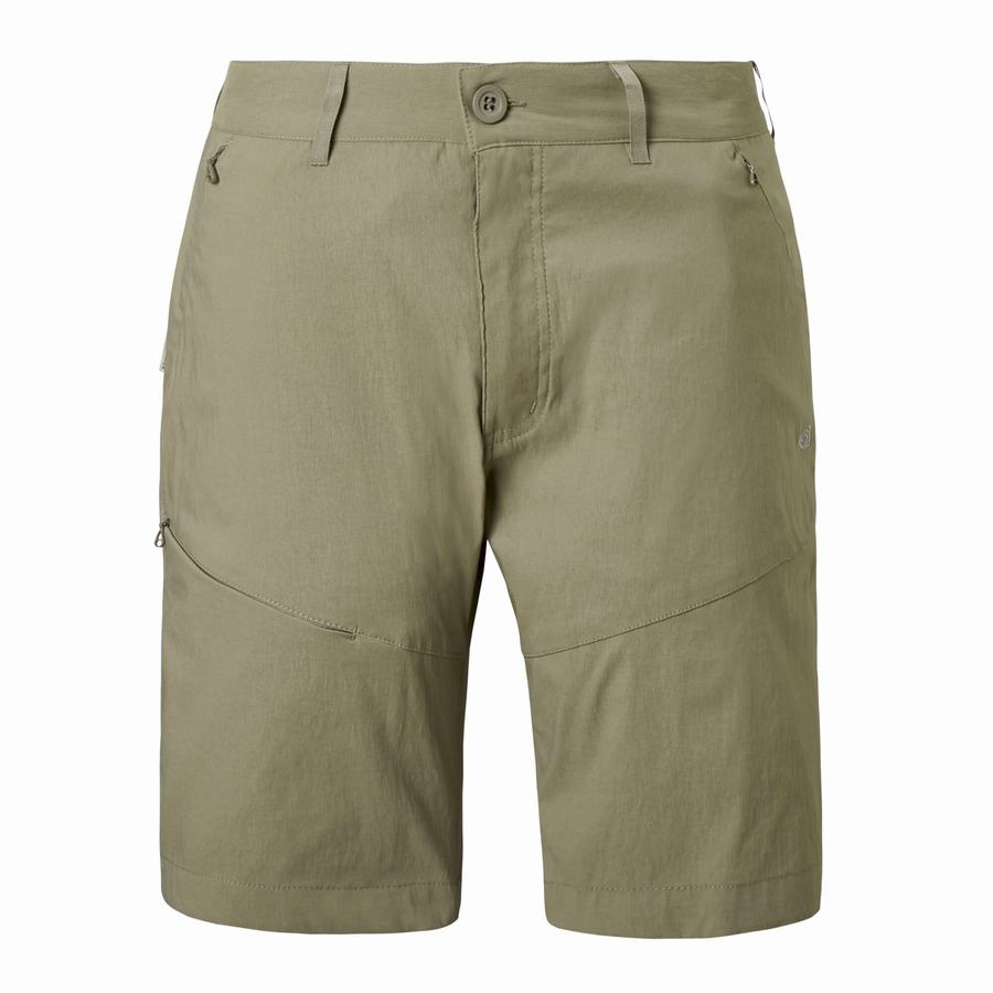 Shorts Craghoppers Kiwi Pro Kaki Homme | WDI-2097379