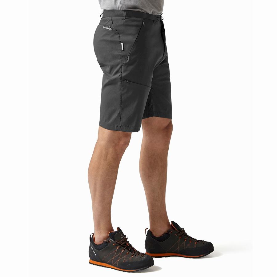 Shorts Craghoppers Kiwi Pro Grise Foncé Homme | NSG-2371859