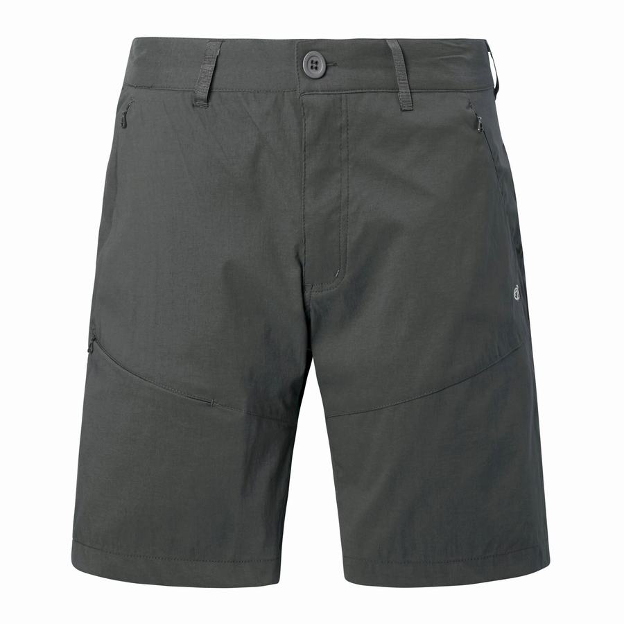 Shorts Craghoppers Kiwi Pro Grise Foncé Homme | NSG-2371859