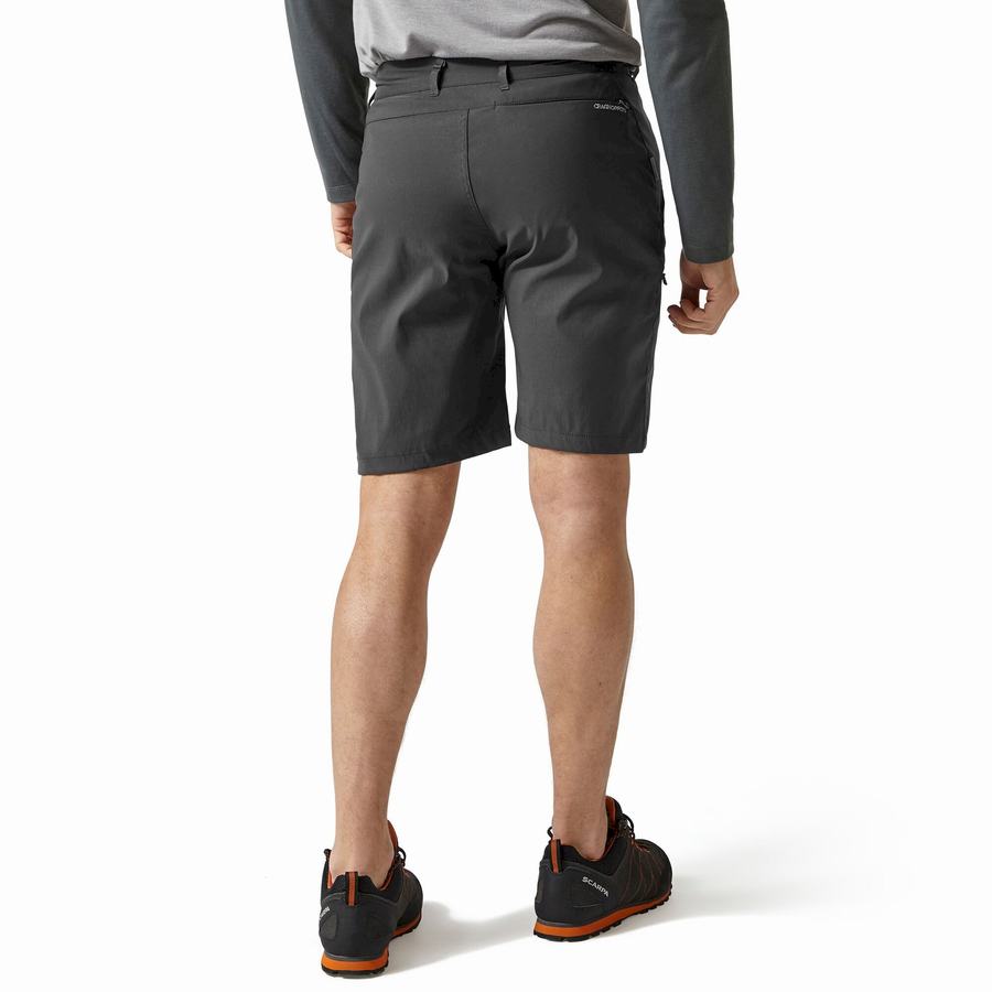 Shorts Craghoppers Kiwi Pro Grise Foncé Homme | NSG-2371859