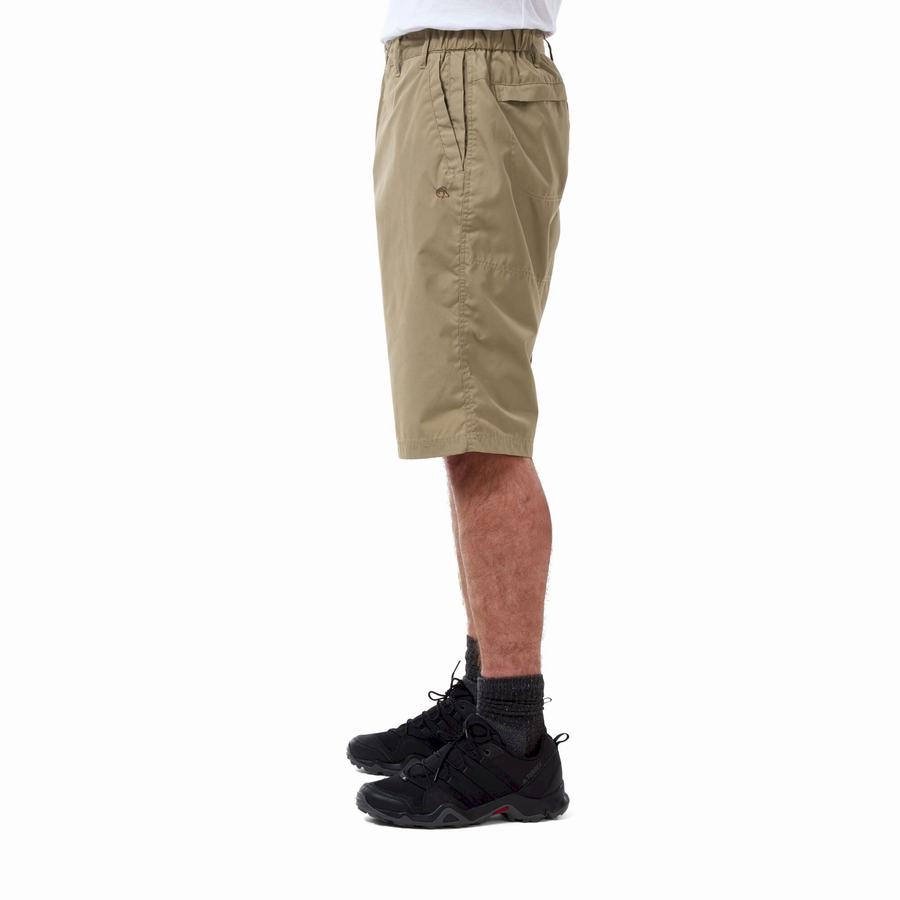 Shorts Craghoppers Kiwi Long Kaki Homme | SRQ-0192373