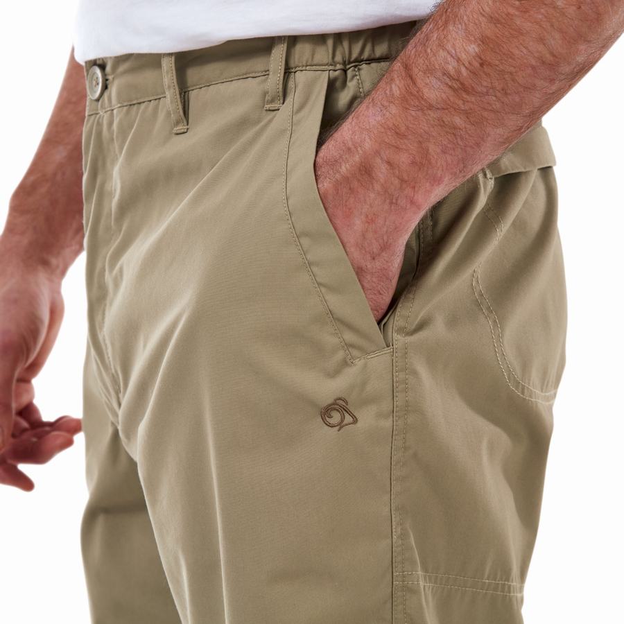 Shorts Craghoppers Kiwi Long Kaki Homme | SRQ-0192373