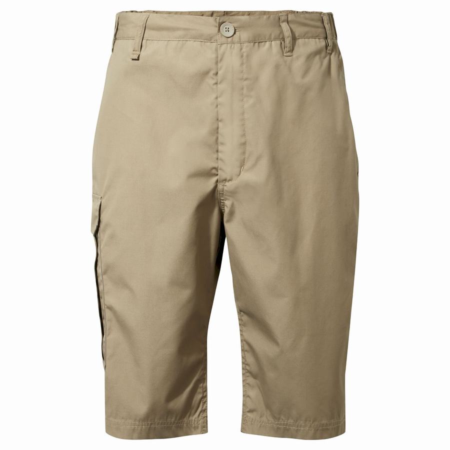 Shorts Craghoppers Kiwi Long Kaki Homme | SRQ-0192373