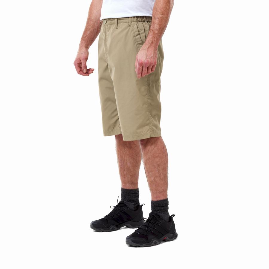 Shorts Craghoppers Kiwi Long Kaki Homme | SRQ-0192373