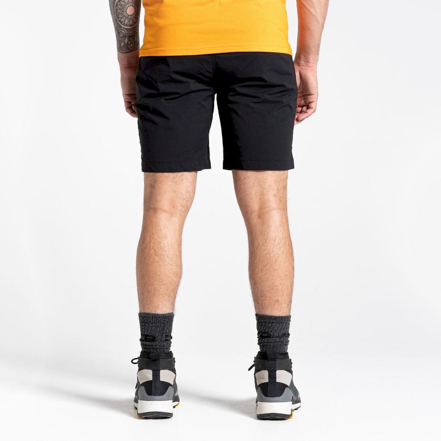 Shorts Craghoppers Dynamic Pro Noir Homme | XEH-7742591