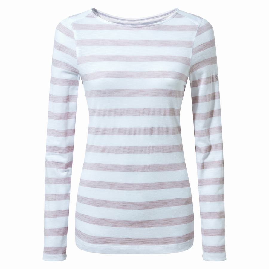 T Shirts Craghoppers NosiLife Erin Long Sleeved Violette Stripes Femme | TCG-1859543