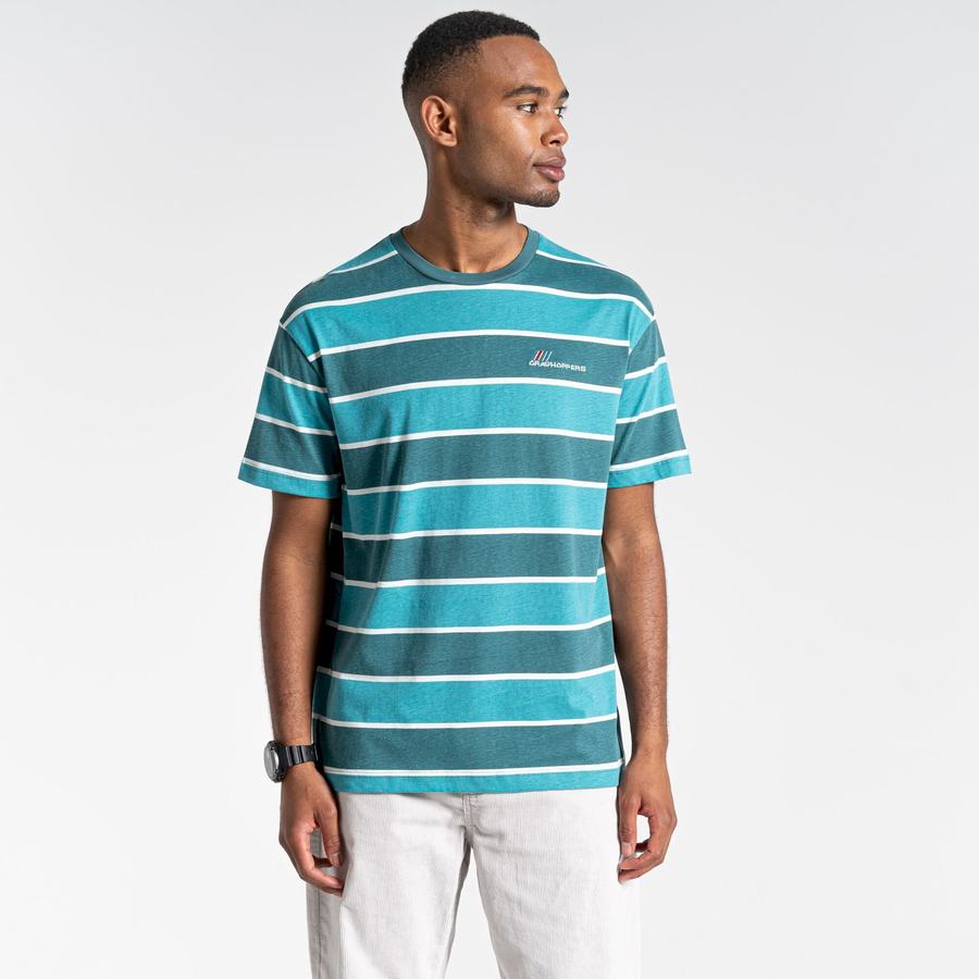 T Shirts Craghoppers Ventura Corta Sleeved Vert Stripes Femme | WXY-8180007