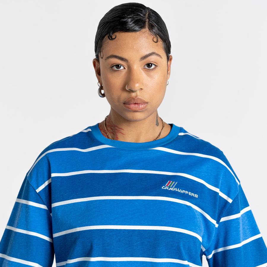 T Shirts Craghoppers Ventura Corta Sleeved Bleu Stripes Femme | IUT-8789383