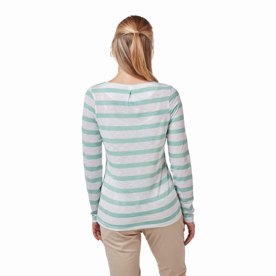 T Shirts Craghoppers NosiLife Erin Long Sleeved Turquoise Stripes Femme | MVB-0158883